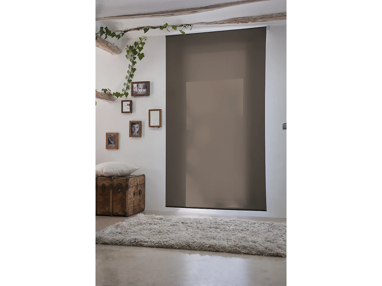 ESTORALIS | Estores Enrollables Lisos Translucidos | 160 x 235 cm (Ancho por Alto) Tamaño de Tela 157 x 230 cm | Modelo GOVE Color Avellana