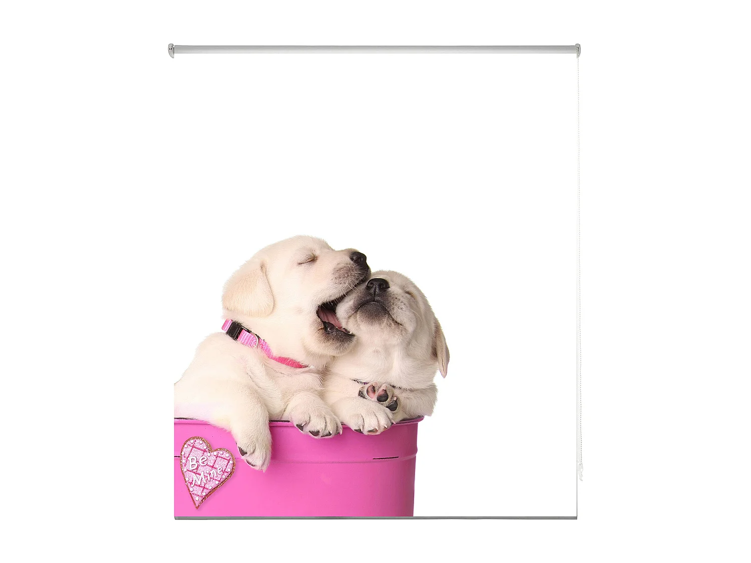 ESTORALIS | Estores Personalizados Easyfix ANIMALES  | 80 x 150 cm (Ancho por Alto) Tamaño de Tela 77 x 150 cm | Modelo A-196 Color Unico