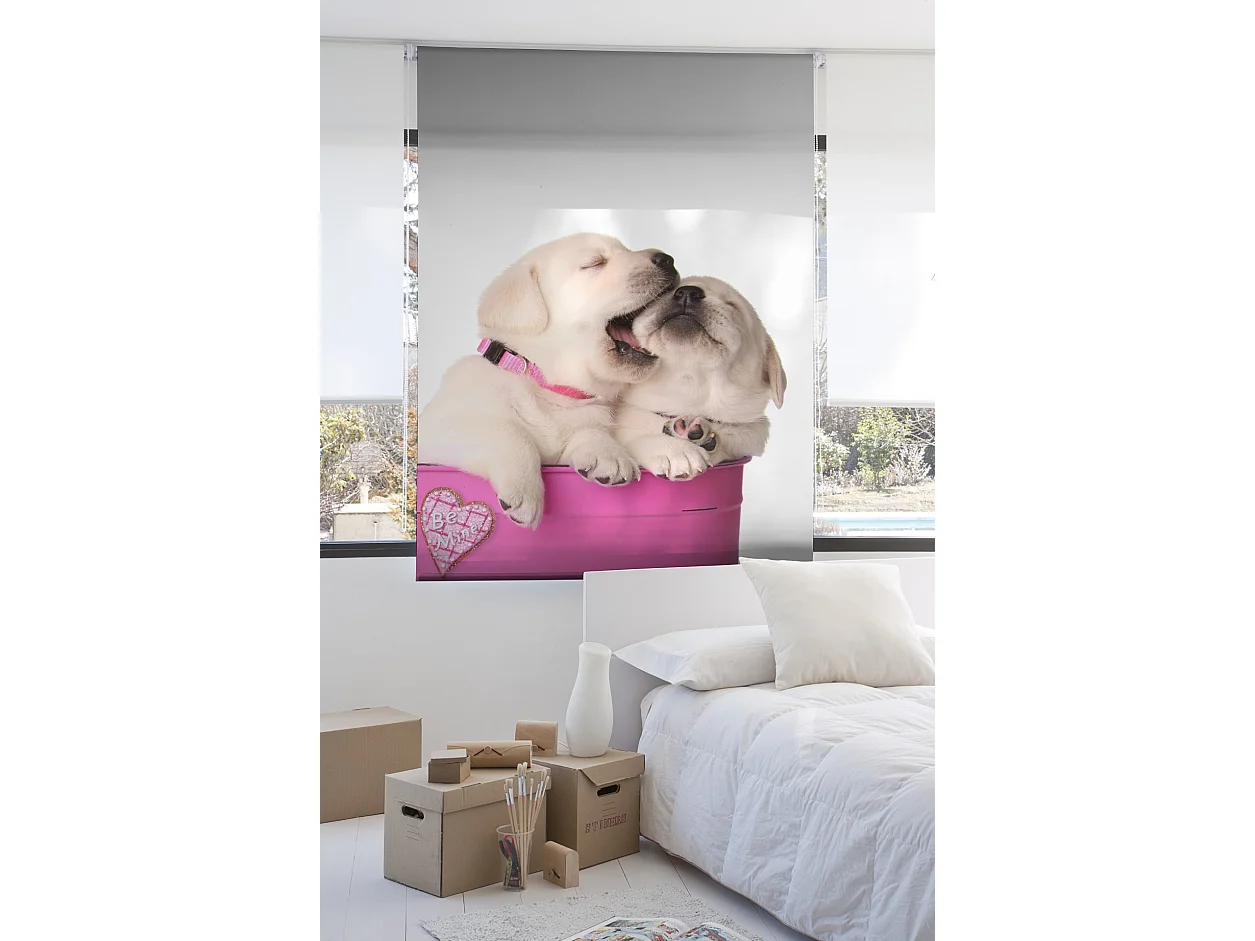 ESTORALIS | Estores Personalizados Easyfix ANIMALES  | 80 x 150 cm (Ancho por Alto) Tamaño de Tela 77 x 150 cm | Modelo A-196 Color Unico