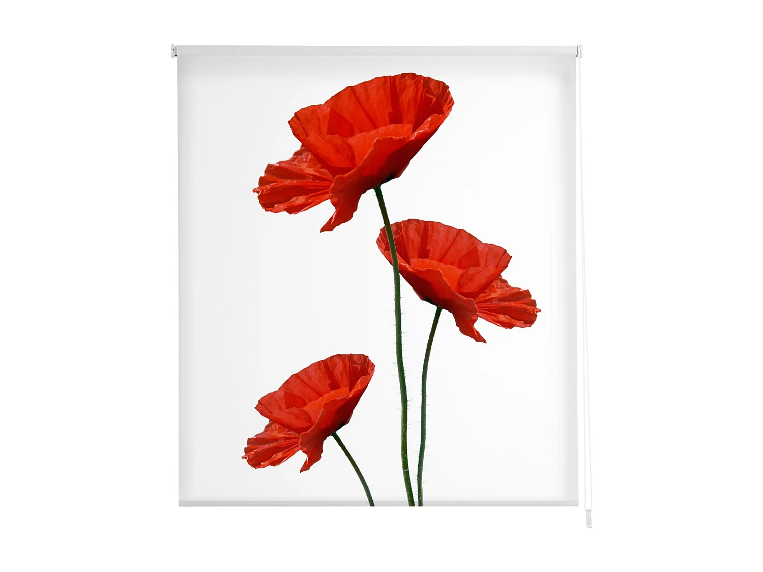 ESTORALIS | Estores Personalizados FLORES y PLANTAS  | 110 x 180 cm (Ancho por Alto) Tamaño de Tela 107 x 175 cm | Modelo F-1044 Color Unico