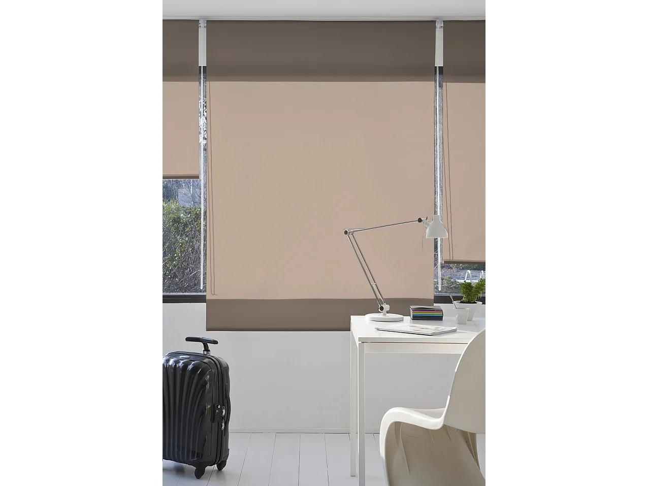 ESTORALIS | Estores Enrollables Lisos Translucidos | 80 x 235 cm (Ancho por Alto) Tamaño de Tela 77 x 230 cm | Modelo GOVE Color Taupe
