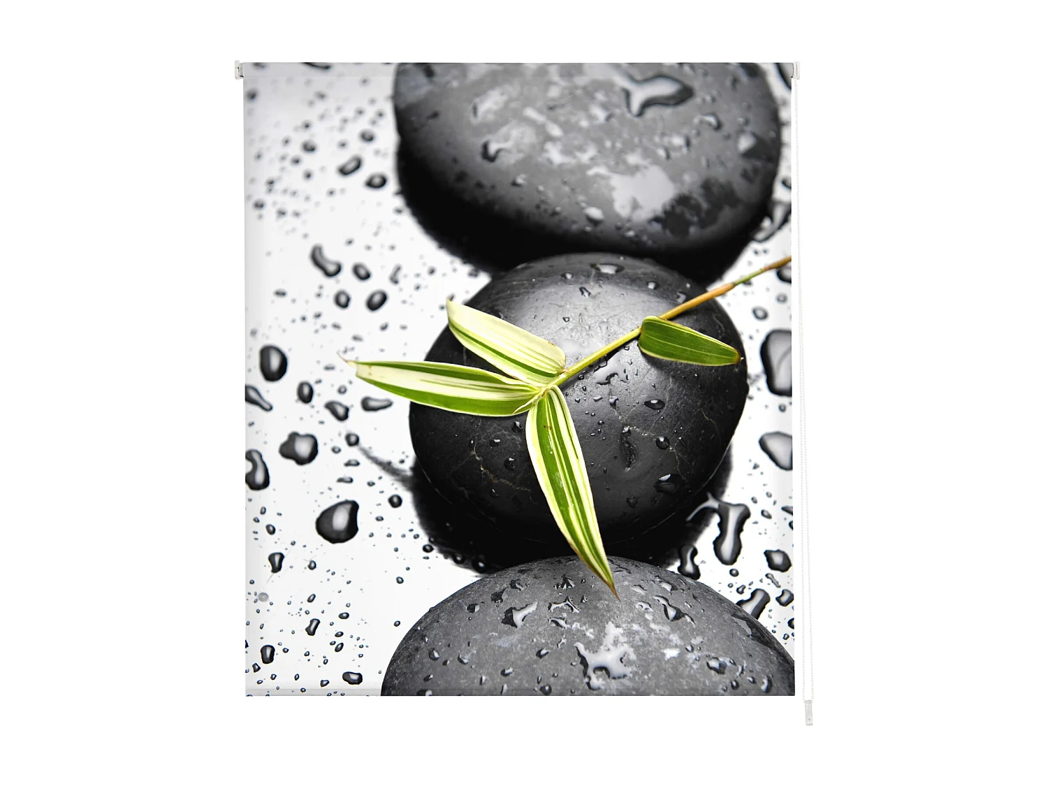 ESTORALIS | Estores Personalizados ZEN  | 110 x 255 cm (Ancho por Alto) Tamaño de Tela 107 x 250 cm | Modelo Z-830 Color Unico