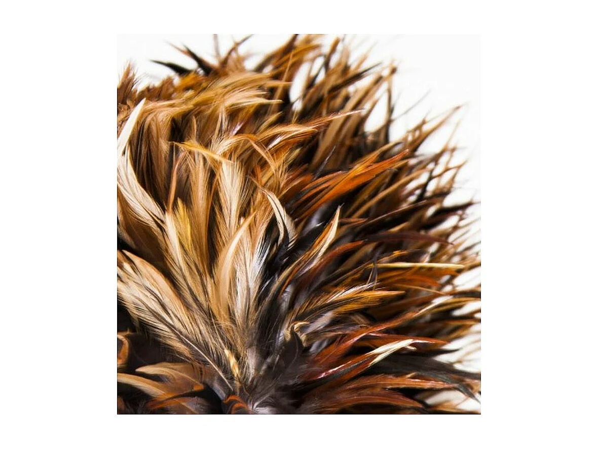 Lampe à poser plumes et teck massif clair vieilli Zoey