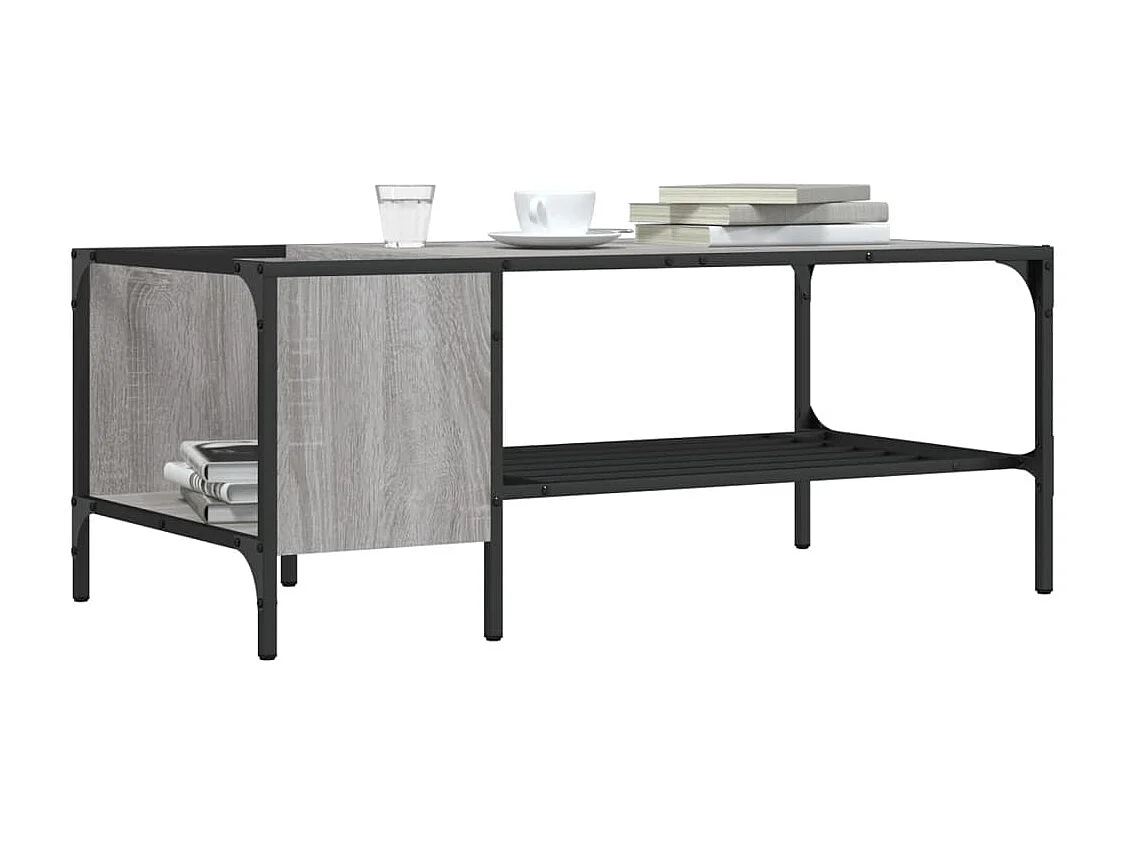 Table basse avec support sonoma gris 100x51x40
