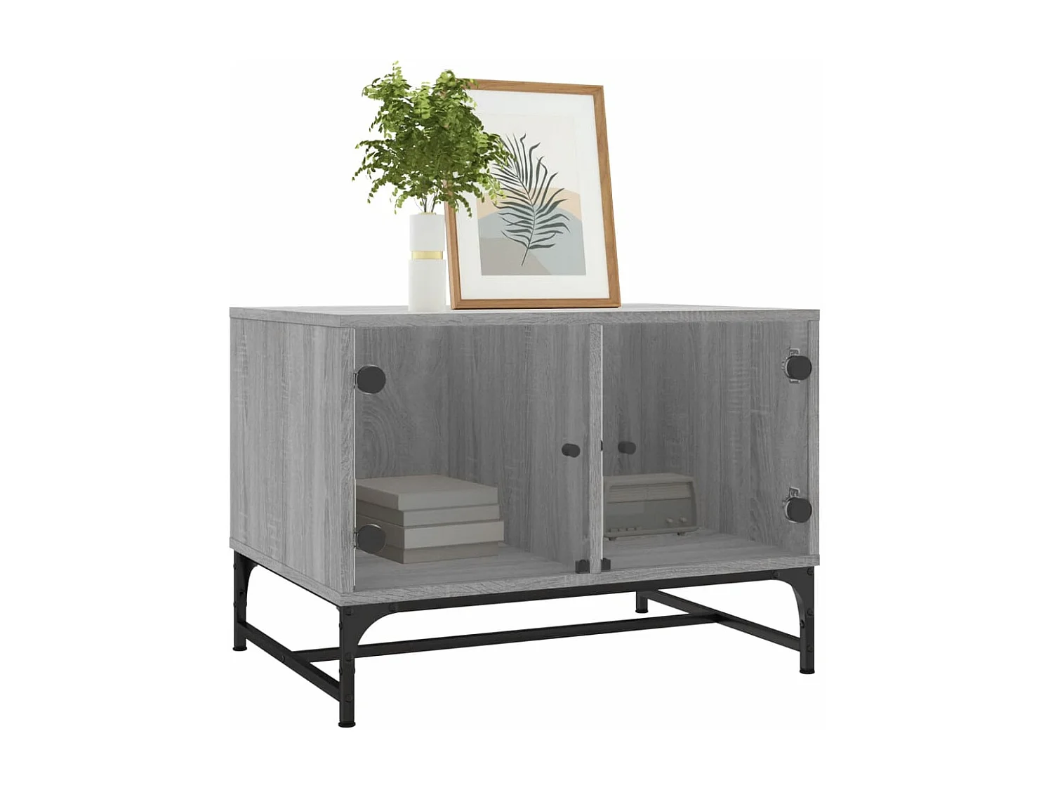 Table basse avec portes en verre sonoma gris 68,5x50x50
