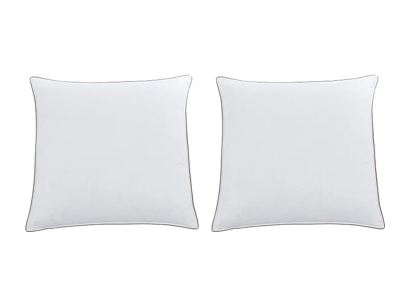 Set van 2 hoofdkussens van perkalkatoen met tijk met antimijtbehandeling 93 draden/cm² - 65 x 65 cm - Vulling van veren en dons - Wit met taupegrijze paspel - FEATH van PALACIO
