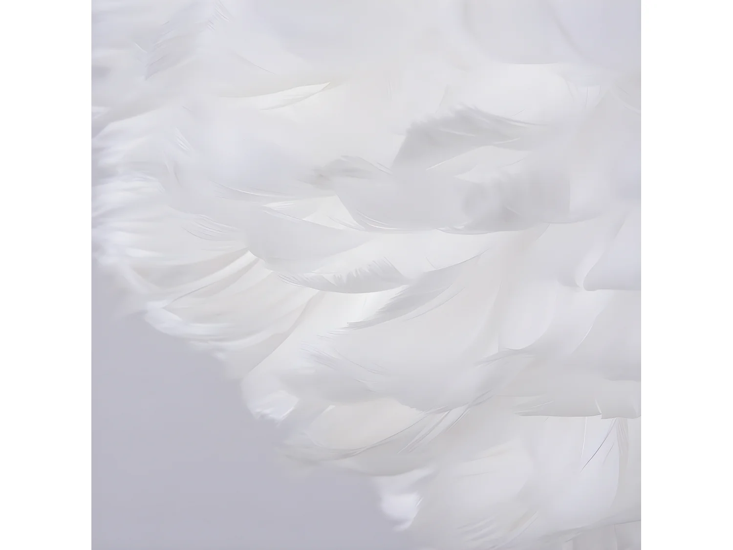 Suspension boule en plumes - d. 50 cm - blanc