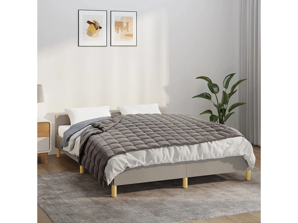 Couverture lestée Gris 138x200 6 kg Tissu