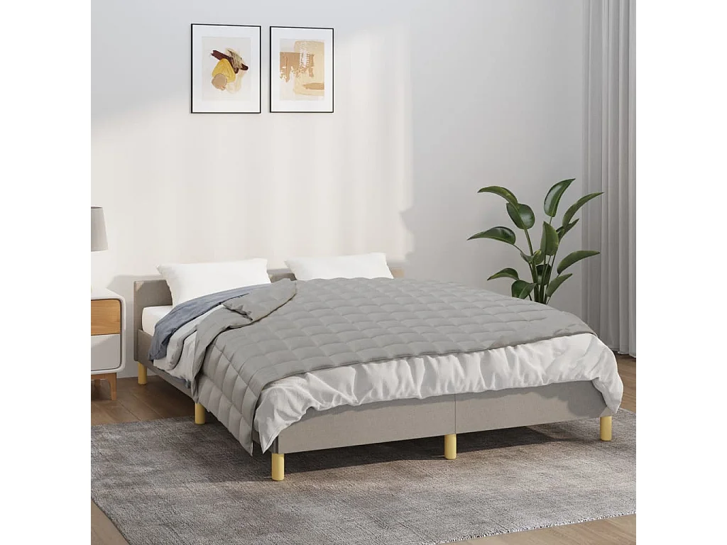 Couverture lestée Gris 138x200 10 kg Tissu