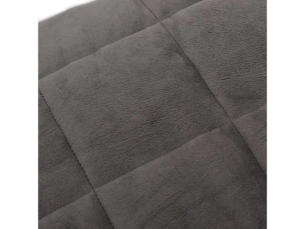 Couverture lestée Gris 140x200 10 kg Tissu