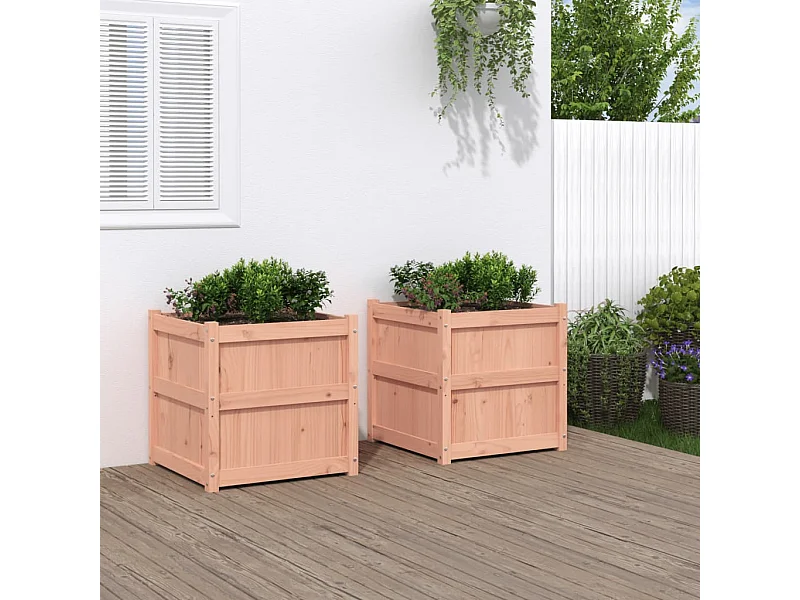 Jardinières 2 pcs bois massif douglas