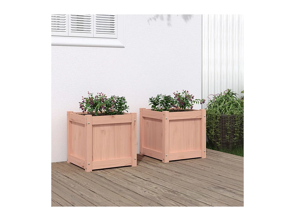 Jardinières 2 pcs bois massif douglas