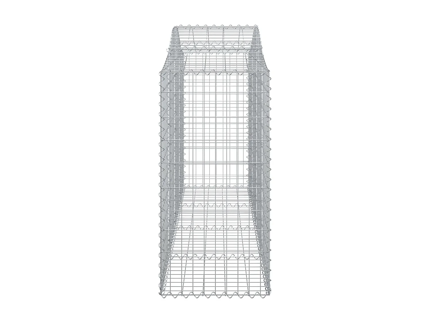 Paniers à gabions arqués 11 pcs 200x50x100-120 fer galvanisé