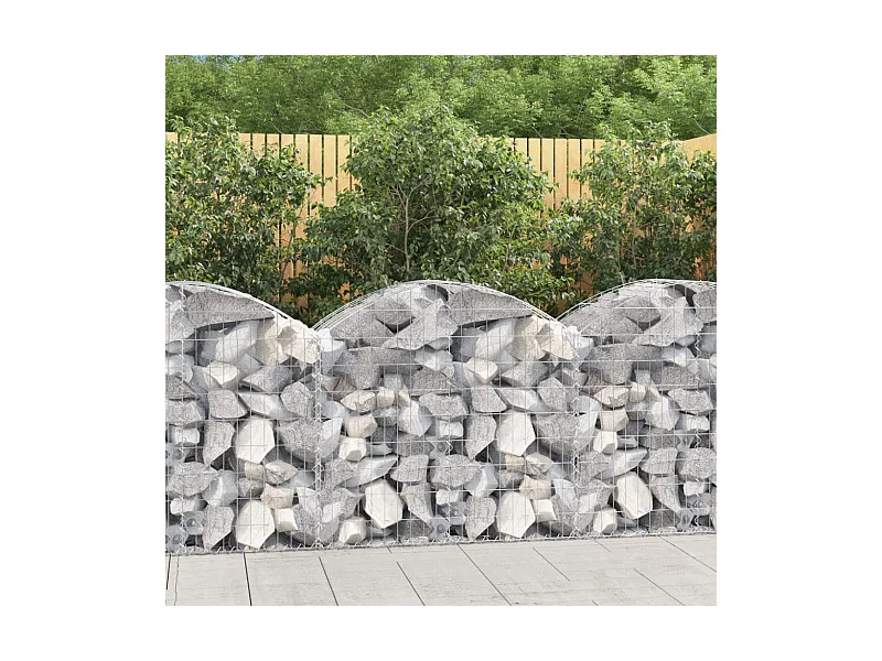 Panier de gabions arqué 100x50x80-100 Fer galvanisé