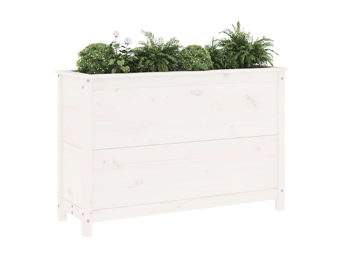 Lit surélevé de jardin blanc 119,5x40x78 bois de pin massif