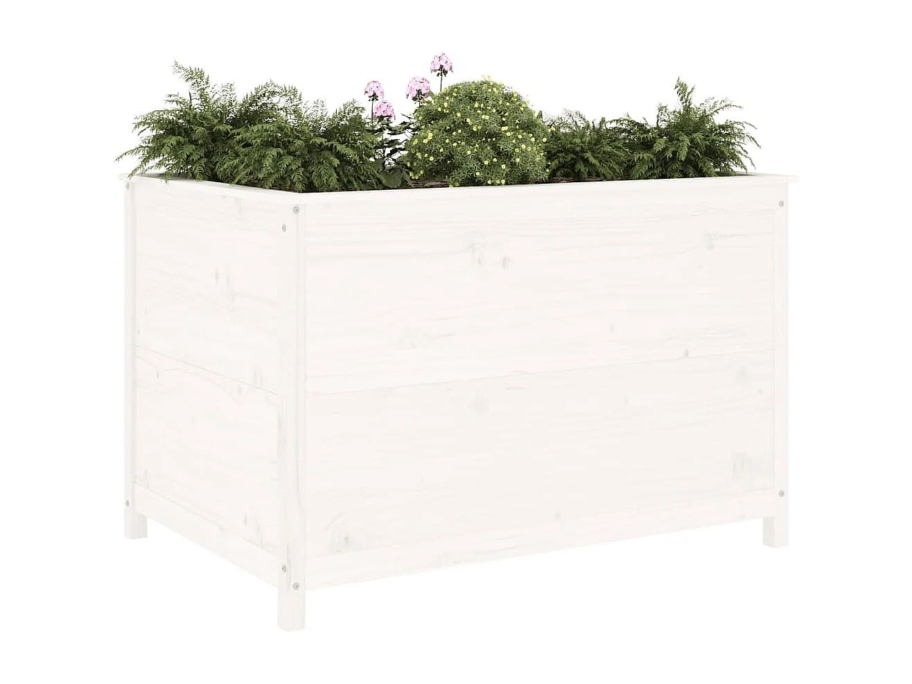 Lit surélevé de jardin blanc 119,5x82,5x78 bois de pin massif