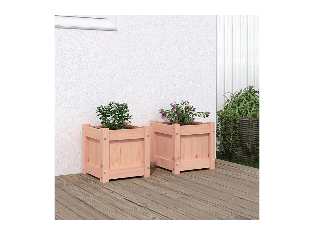 Jardinières 2 pcs bois massif douglas