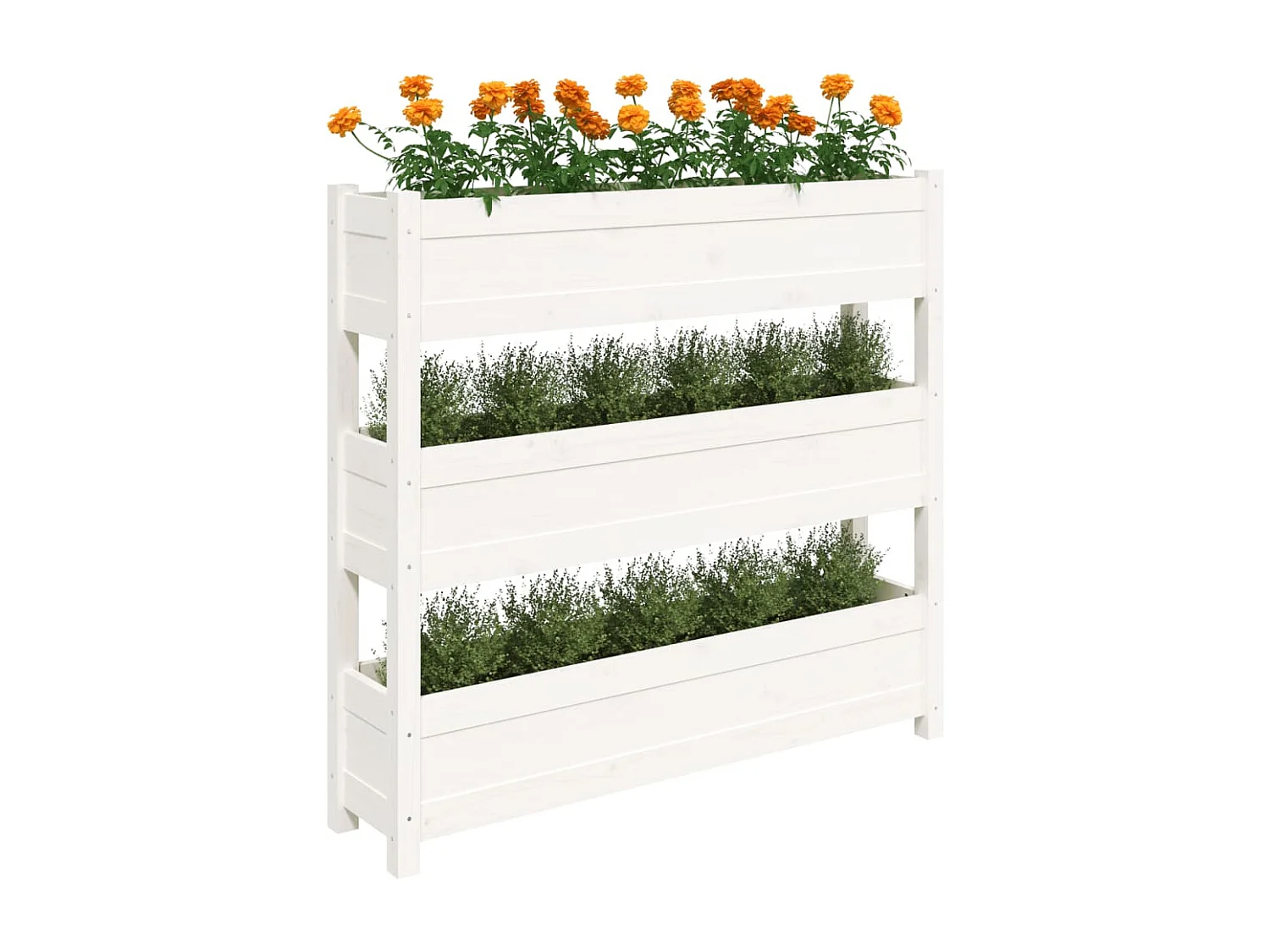 Jardinière Blanc 112x25x104,5 Bois massif de pin