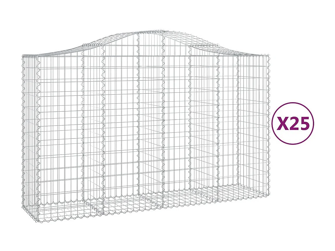 Paniers à gabions arqués 25 pcs 200x50x120-140 Fer galvanisé