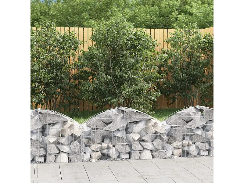 Panier de gabions arqué 100x30x40-60 Fer galvanisé