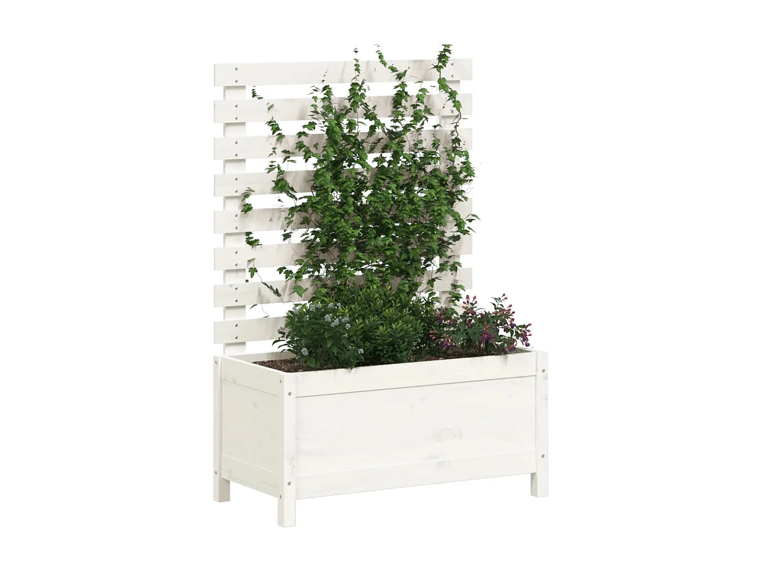 Jardinière avec support blanc 79x39,5x114 bois de pin massif