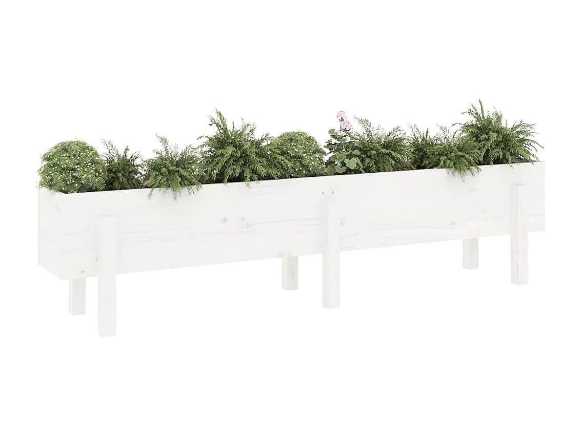 Lit surélevé de jardin blanc 160x30x38 bois de pin massif