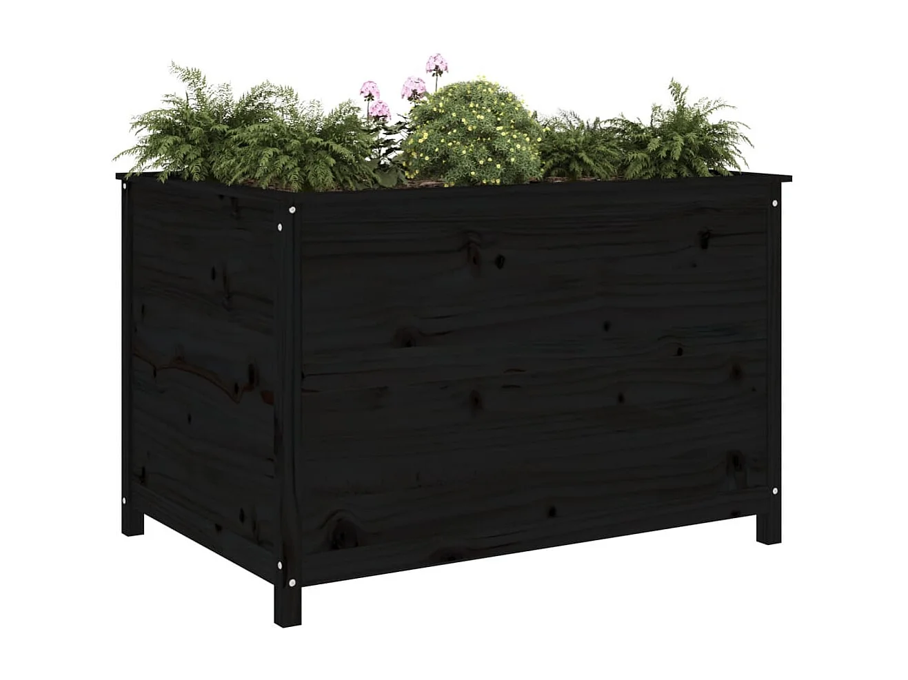 Lit surélevé de jardin noir 119,5x82,5x78 bois de pin massif