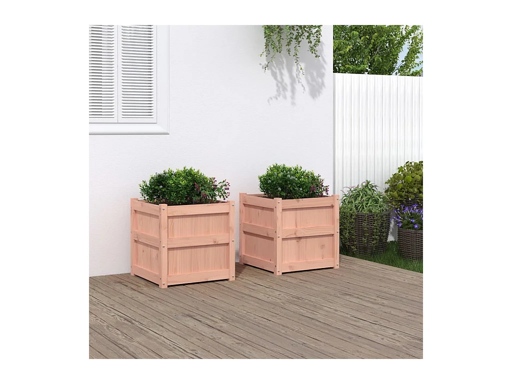 Jardinières 2 pcs bois massif douglas