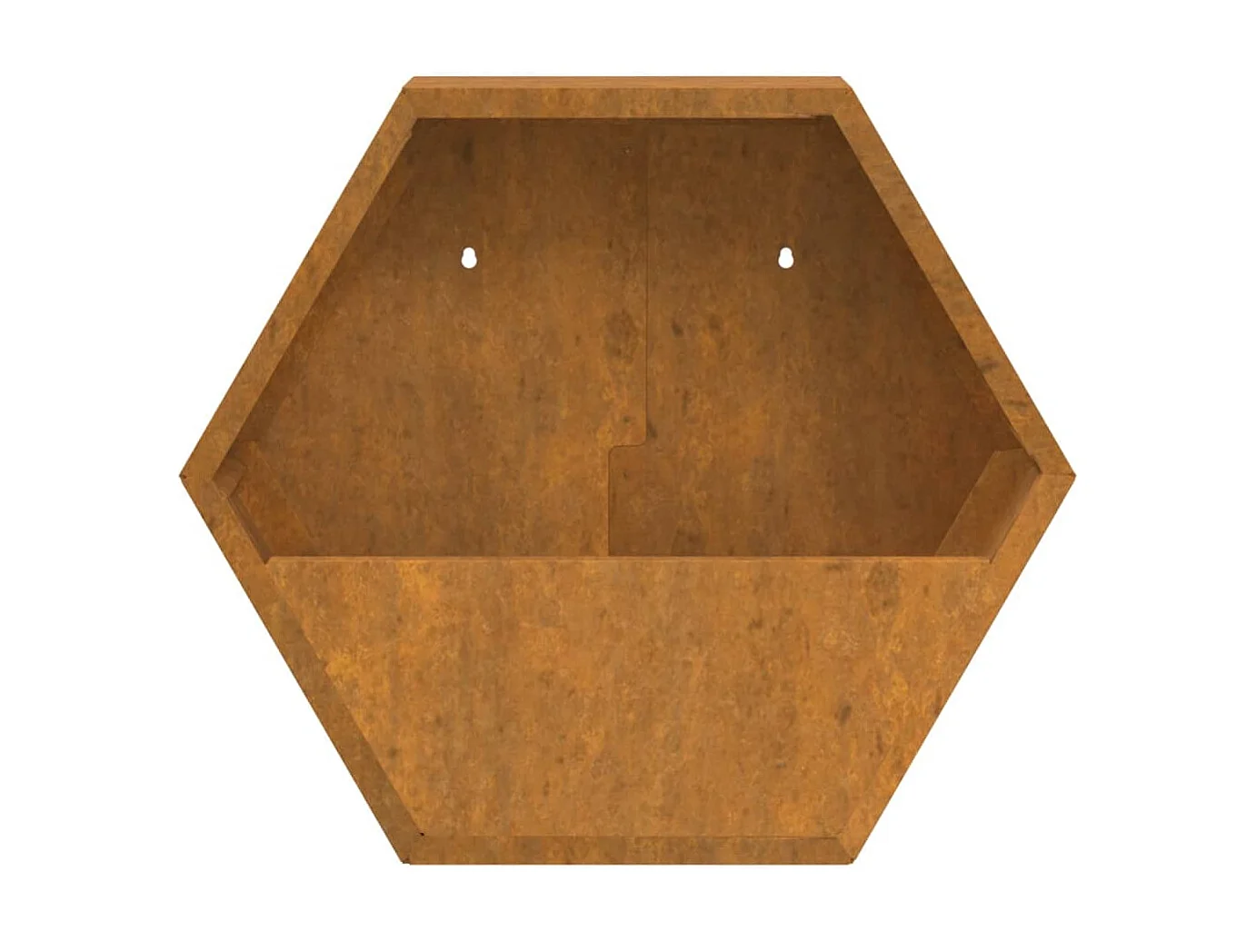 Jardinières murales 2 pcs Rouillé Acier corten 46x10x40