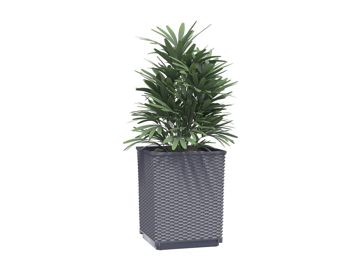 Jardinières 2 pcs gris foncé 30x30x37 polypropylène
