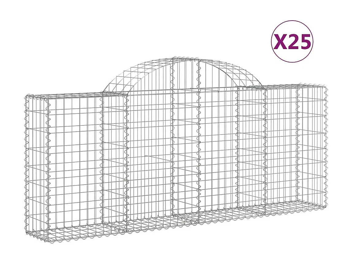 Paniers à gabions arqués 25 pcs 200x30x80-100 Fer galvanisé