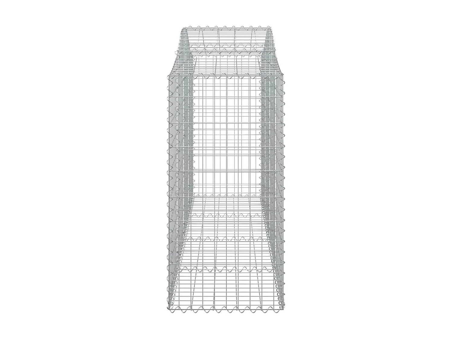 Paniers à gabions arqués 10 pcs 200x50x100-120 fer galvanisé