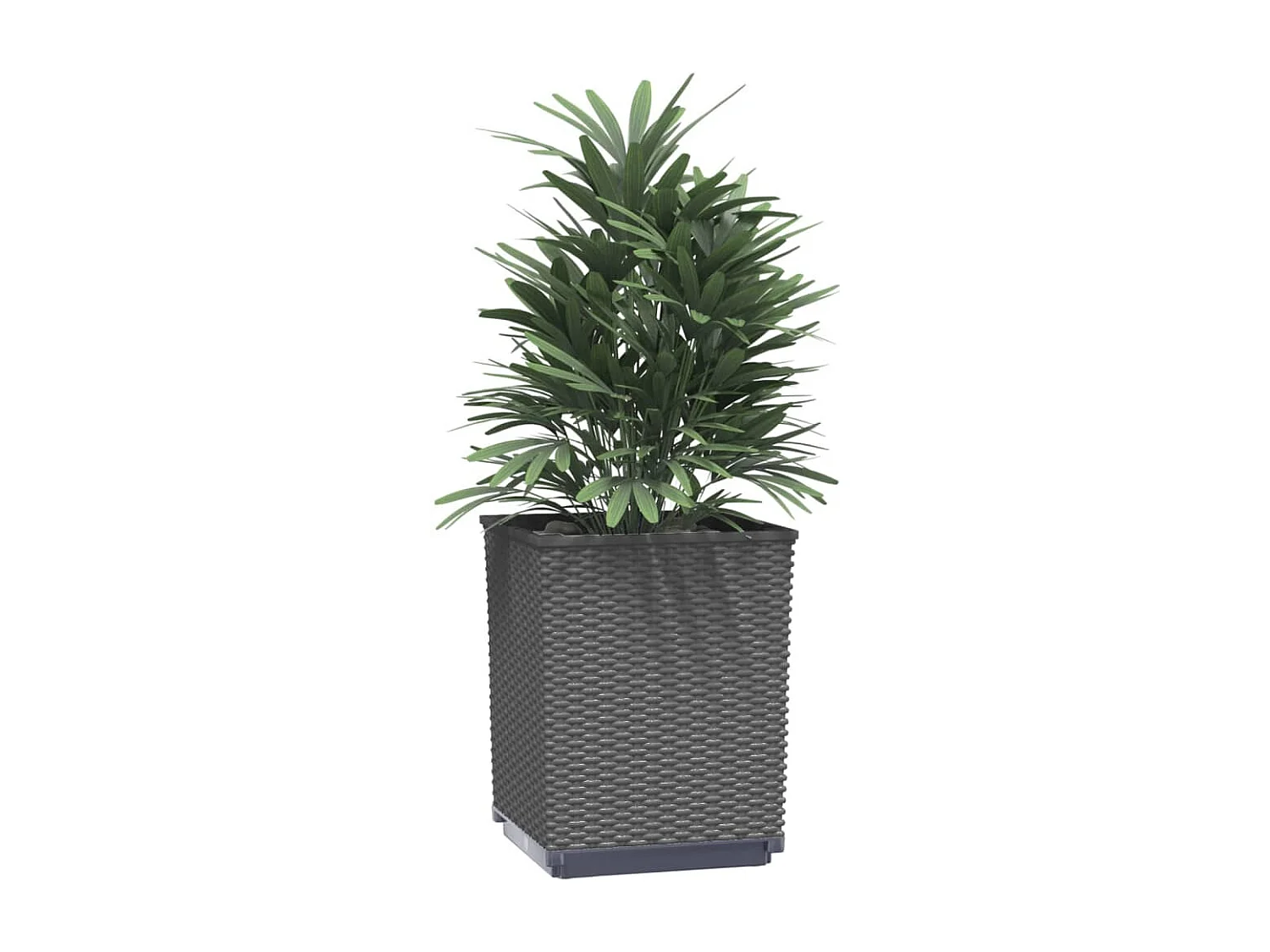 Jardinières 4 pcs noir 30x30x37 polypropylène