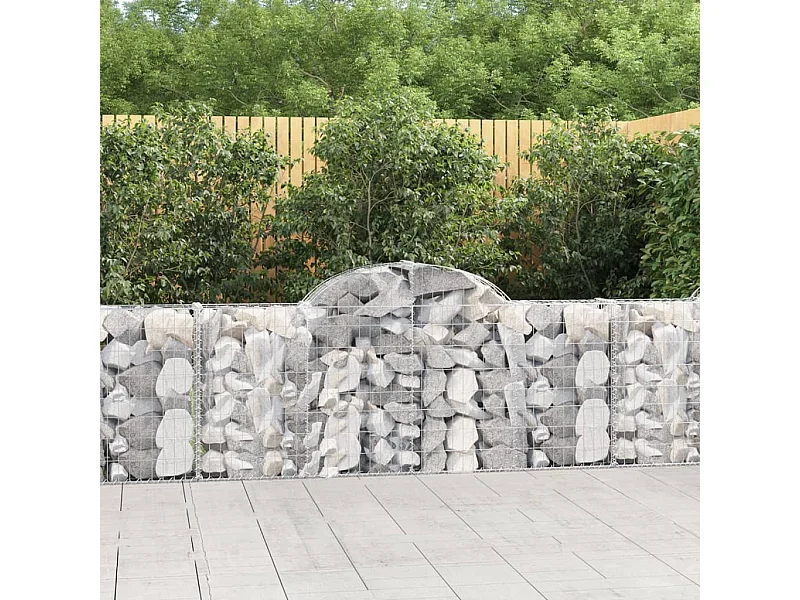Paniers à gabions arqués 11 pcs 200x30x80-100 Fer galvanisé