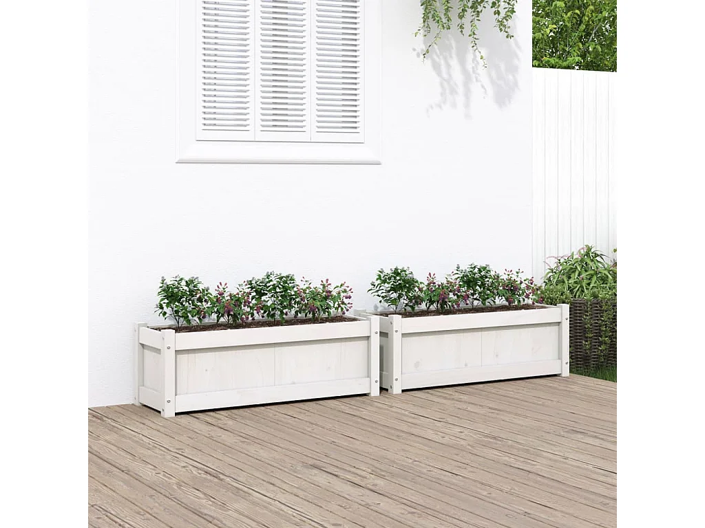 Jardinières 2 pcs blanc bois de pin massif