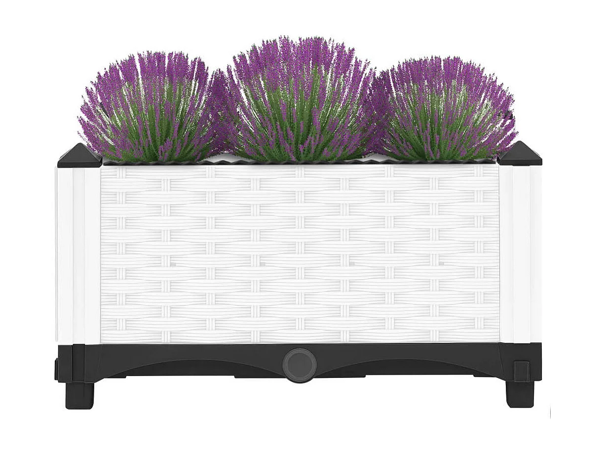 Lit surélevé 40x40x23 Polypropylène