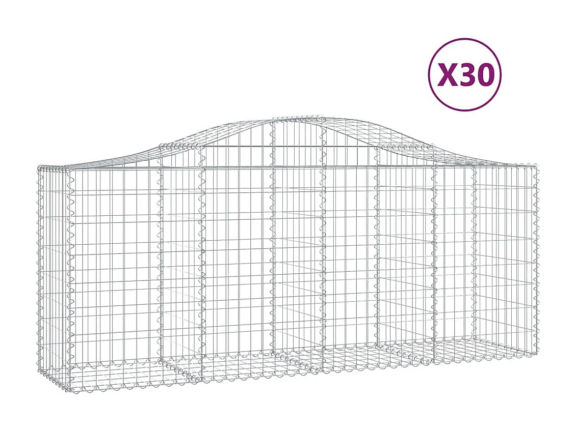 Paniers à gabions arqués 30 pcs 200x50x80-100 Fer galvanisé