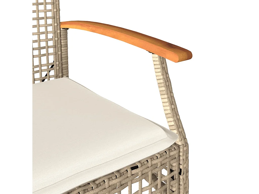 Ensemble de bistro 3 pcs coussins beige résine tressée acacia