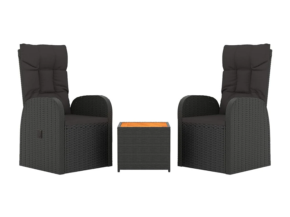 Ensemble de salon de jardin 3 pcs noir poly rotin et acacia