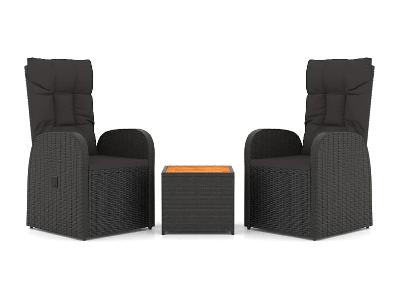 Ensemble de salon de jardin 3 pcs noir poly rotin et acacia