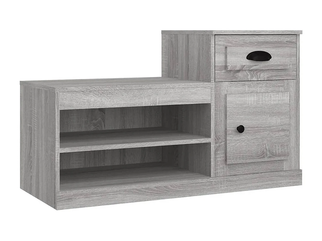Armoire à chaussures sonoma gris 100x42x60 bois d'ingénierie