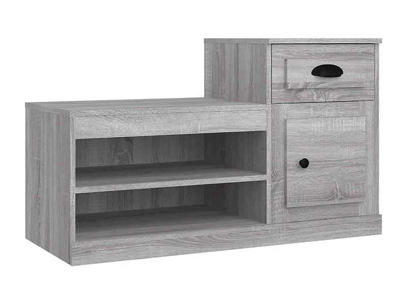 Armoire à chaussures sonoma gris 100x42x60 bois d'ingénierie