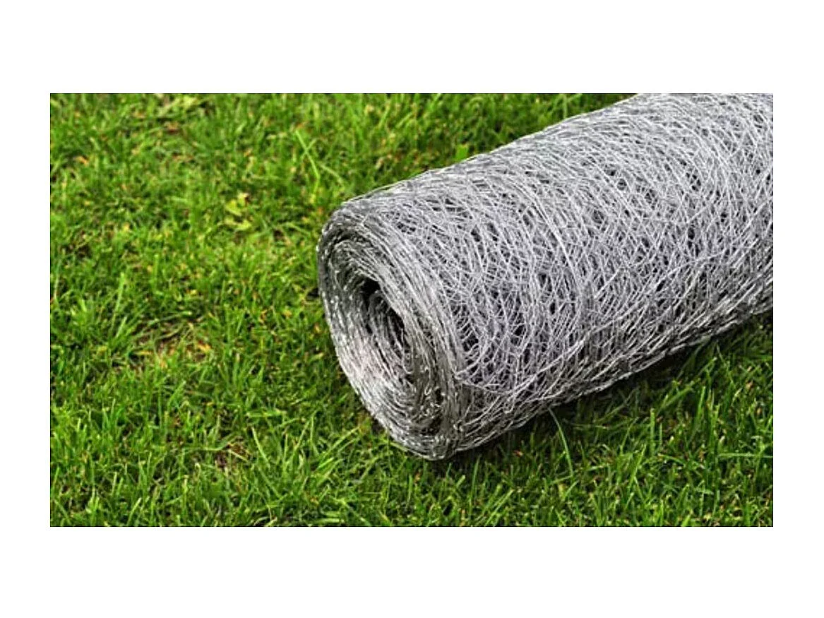 Grillage pour volière Acier galvanisé 25 x 0,5 m Argenté 2