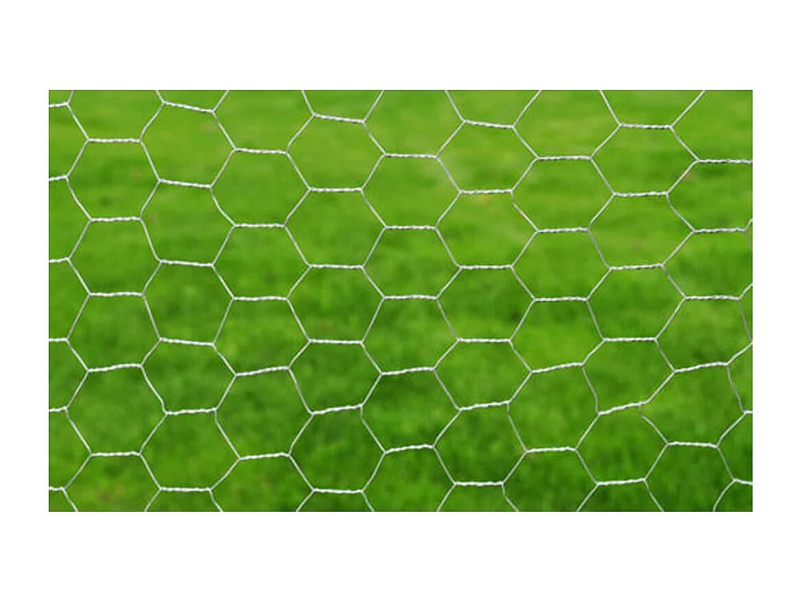 Grillage pour volière Acier galvanisé 25 x 0,75 m Argenté