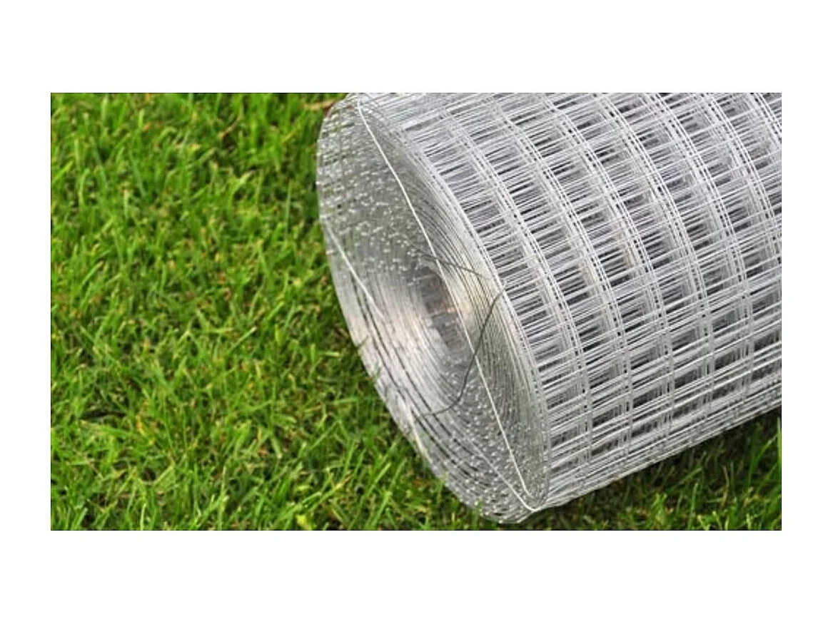 Grillage pour volière Acier galvanisé 10 x 1 m Argenté 2