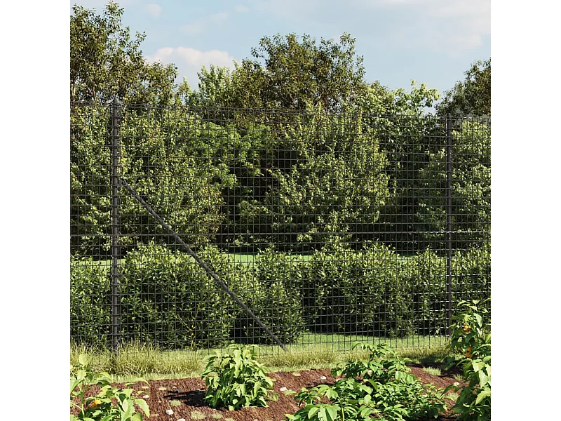 Clôture en treillis métallique anthracite 2x10 m