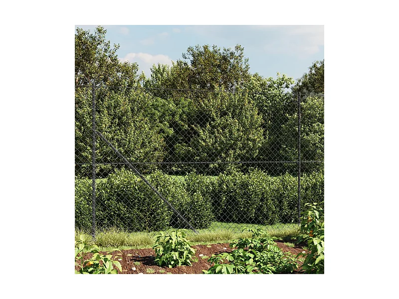 Clôture à mailles losangées avec bride anthracite 1,6x25 m