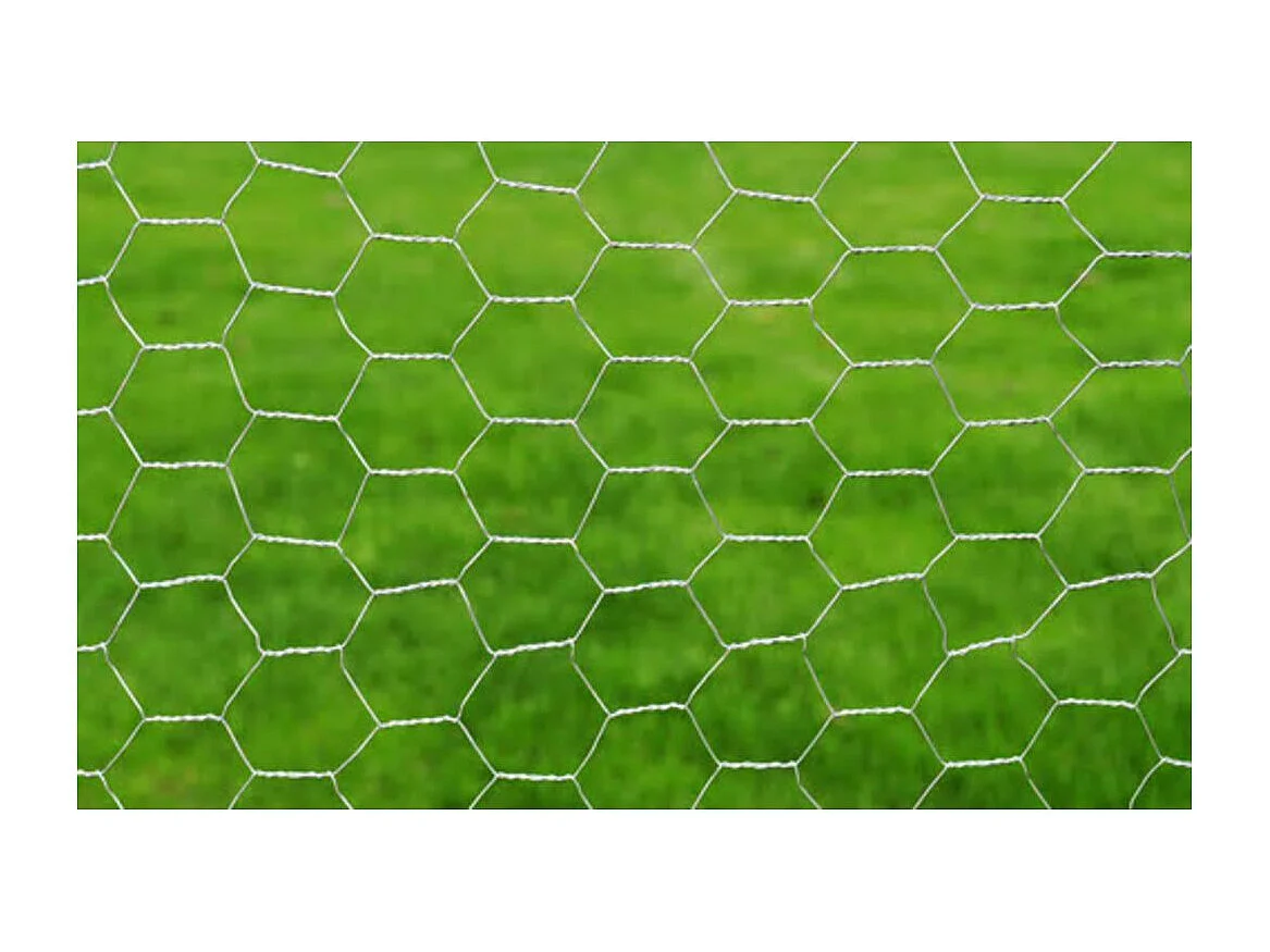 Clôture en treillis Acier galvanisé Hexagonal 1x25 m Argenté