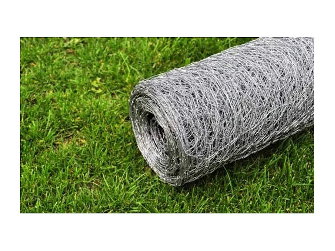 Grillage pour volière Acier galvanisé 25 x 0,5 m Argenté