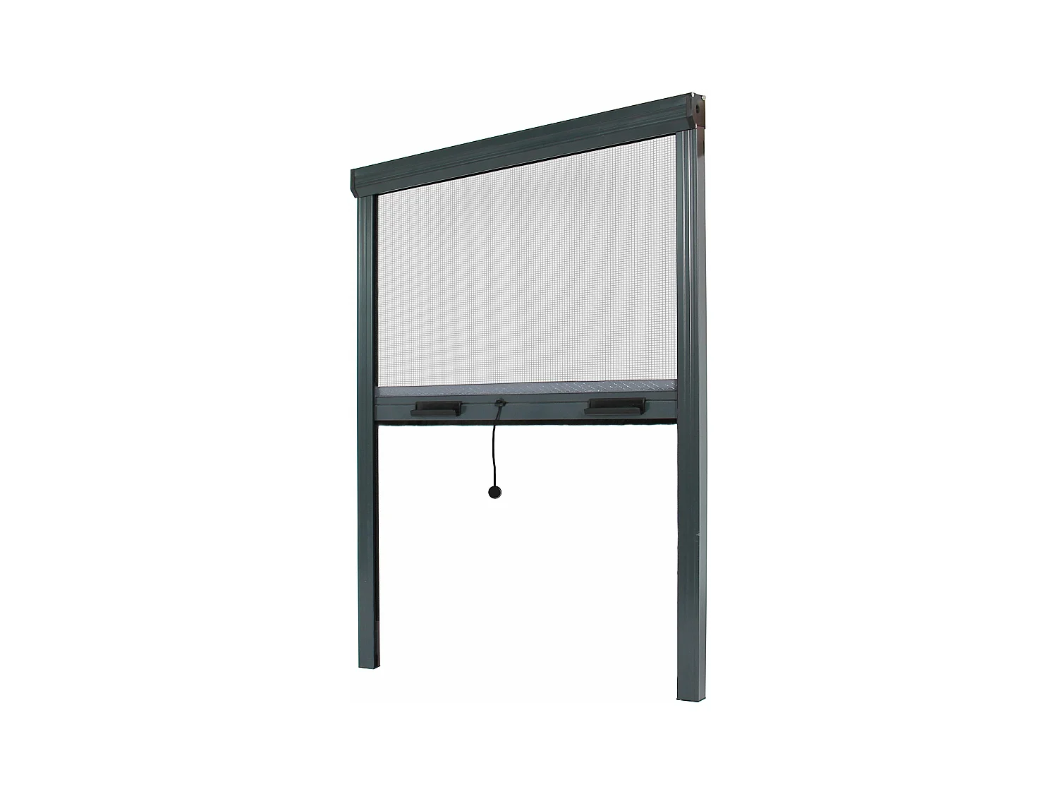 Insektenschutzrollo für Fenster - B 1500 mm x H 2300 mm - Aluminium - Anthrazitgrau RAL 7016 - zuschneidbar